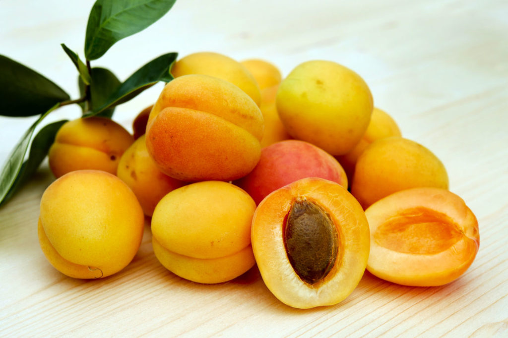 Image of farm fresh apricots.